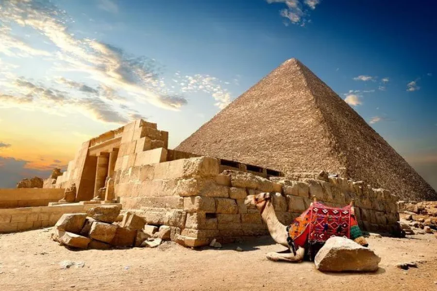 Day Trip to Pyramids from Cairo