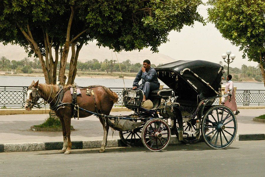 Luxor Horse Carriage Trip